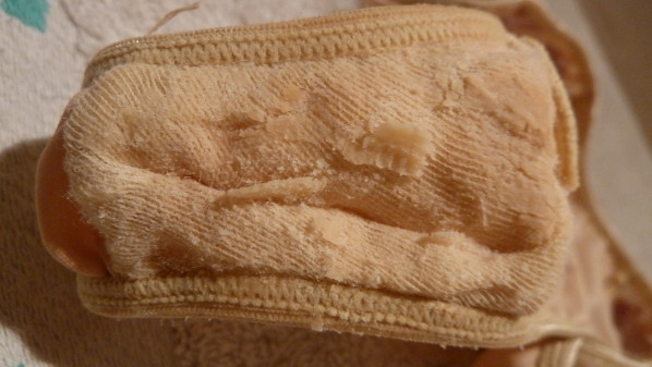 P1020187.JPG