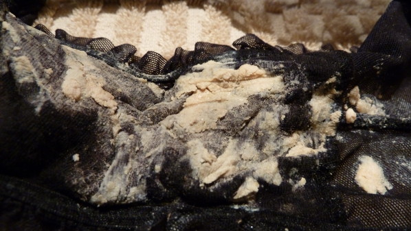 P1030311