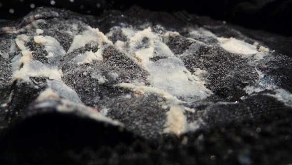 P1030591