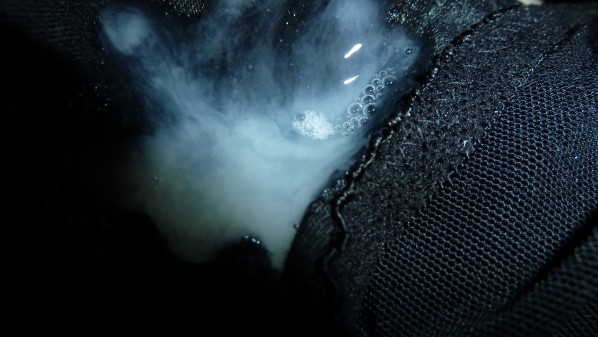 P1000927.JPG