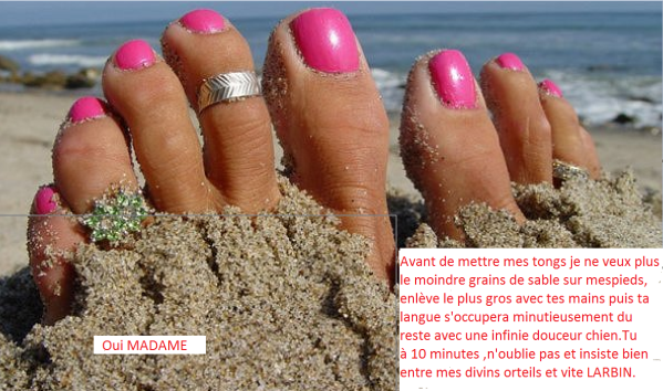 3leche-moi-les-orteils-chien.PNG