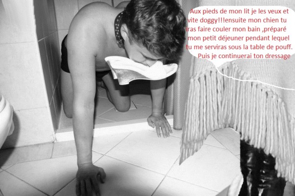 6doggy-porte-mule.jpg