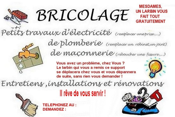 11-soumis-bricoleur-larbin-a-tout-faire--menage-jardinage.jpg
