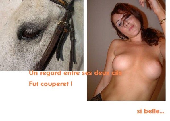 2cheval2