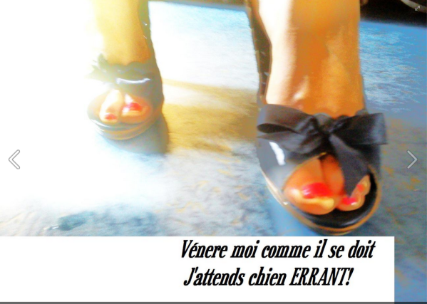 1-venere-moi.PNG