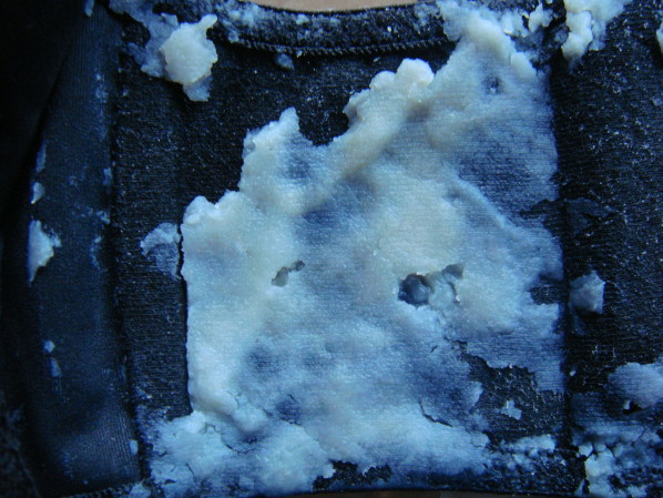 DSC01085.JPG