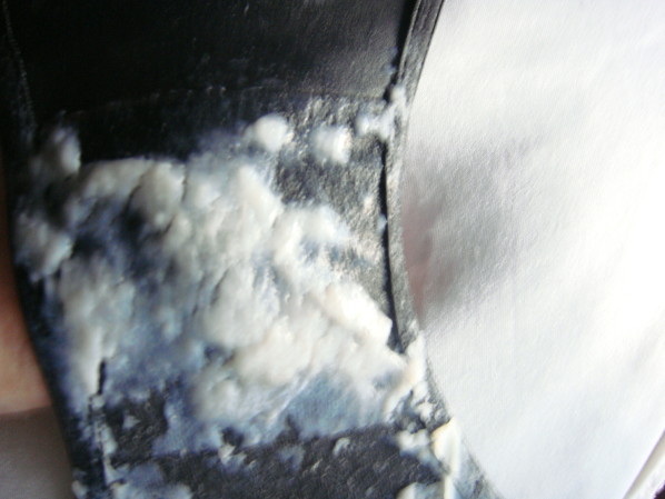 DSC01097.JPG