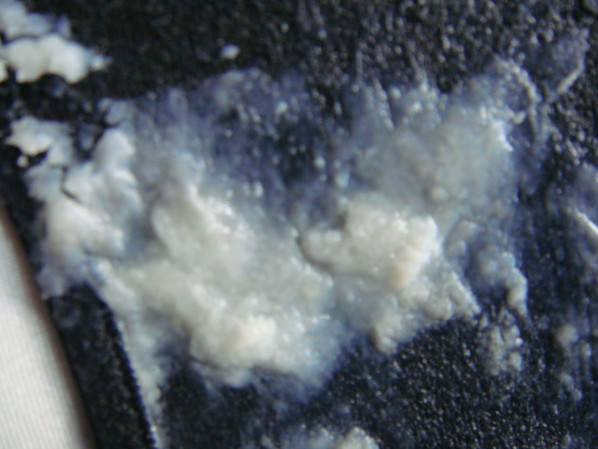 DSC01100.JPG