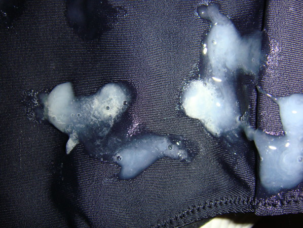 DSC00991.JPG