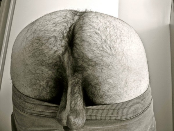 brutos02840 Ass