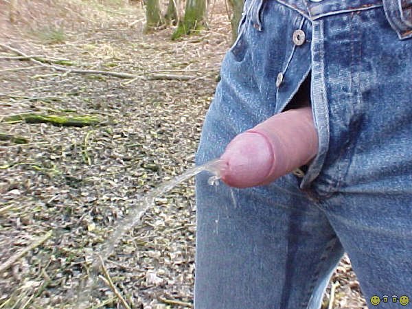 1--4--copie-7.jpg