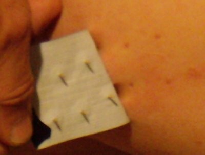 P5100051