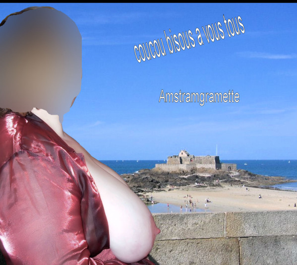st malo hoho