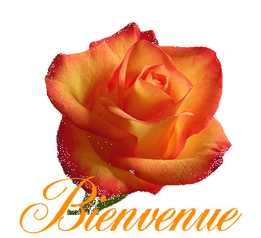 BIENv5.gif