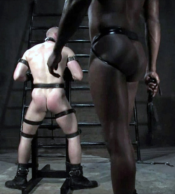tumblr_o4qczo0QCT1uj4vdeo3_540.jpg