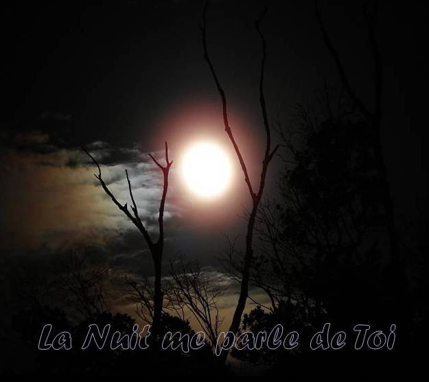 Nuit du loup