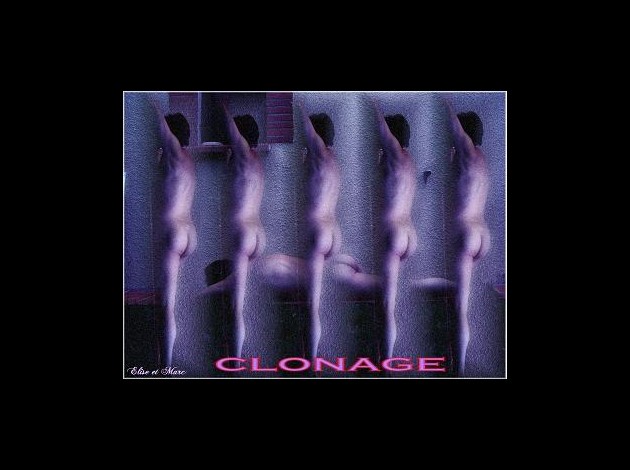 clonage-def-small.jpg