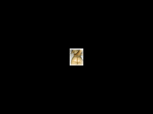 pic15.gif