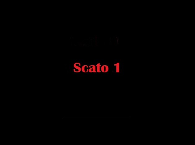 (BIZ001) Scato 1