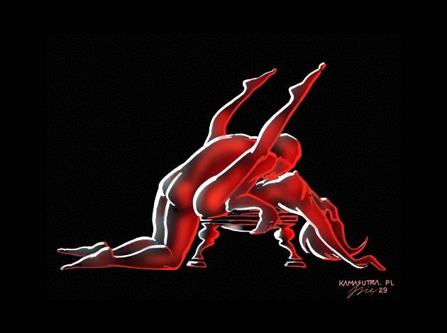 kamasutra-sexe-010.gif