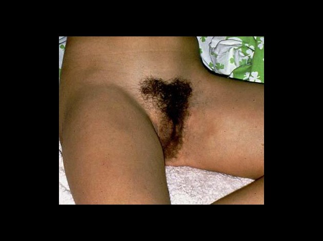 hairy-pussy.jpg