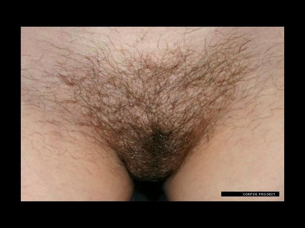 pubic-hair.jpg