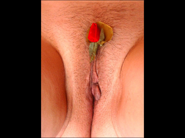 rose-et-minou.jpg