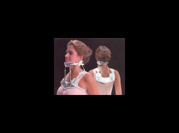 4-posters-collar.jpg