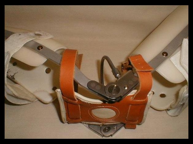 d_tail_leg_brace1.jpg