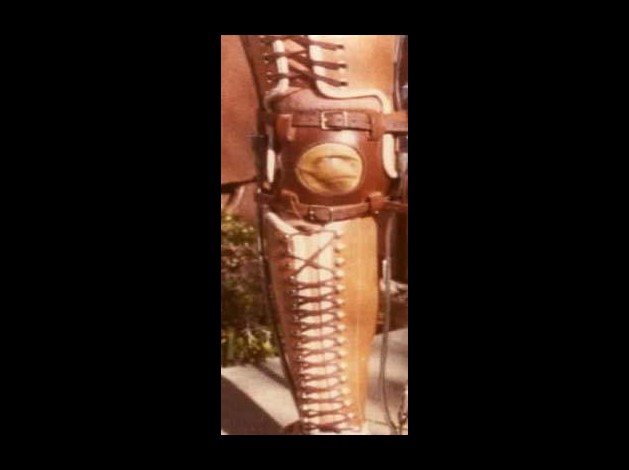legbrace_leather2.jpg