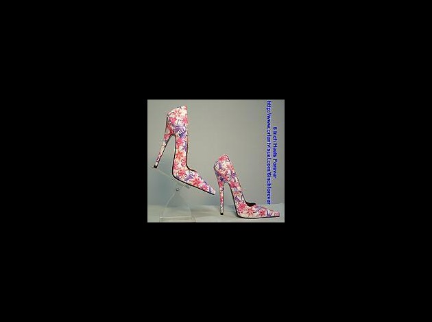 shoeshigh064.jpg