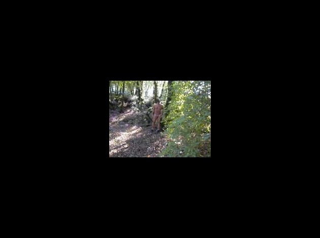 img-272454-1290028.jpg