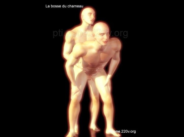 bosse_chameau_01.jpg