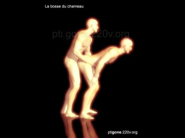 bosse_chameau_02.jpg