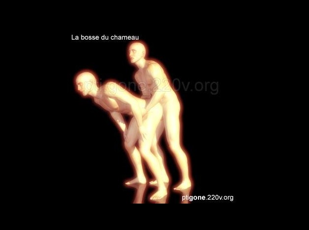 bosse_chameau_04.jpg