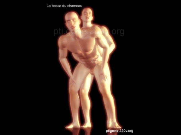 bosse_chameau_05.jpg