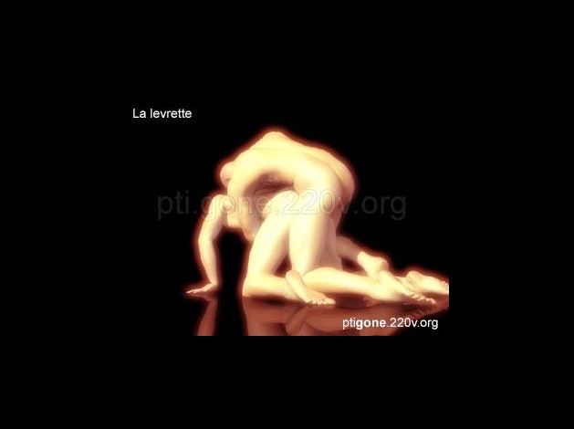 levrette_01.jpg