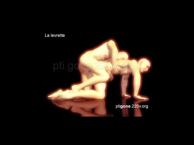 levrette_04.jpg