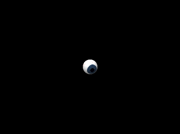 eye005_1_.gif