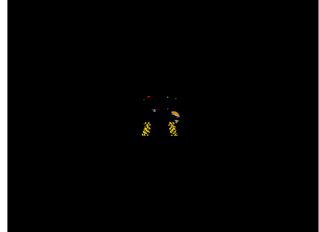 space.gif