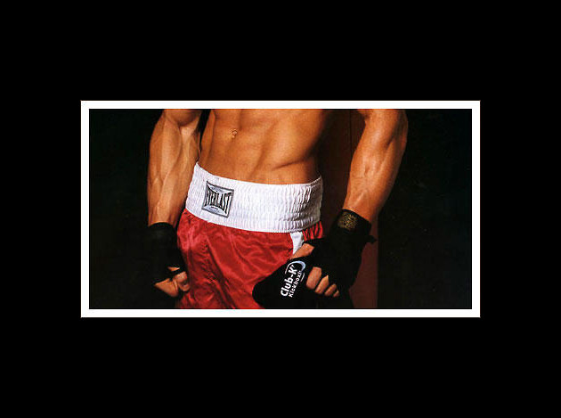 boxer00032547.jpg