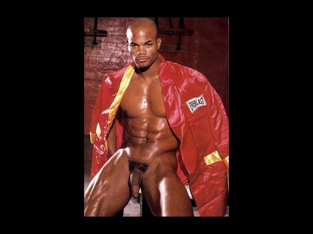 boxer0100019d.jpg