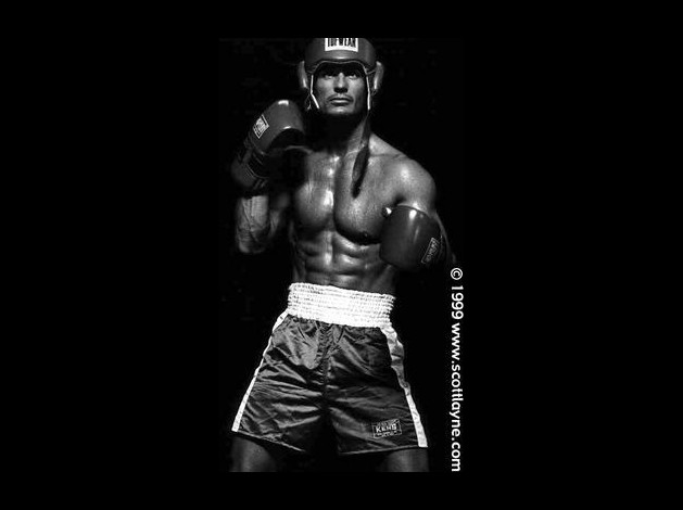 boxer010008c.jpg