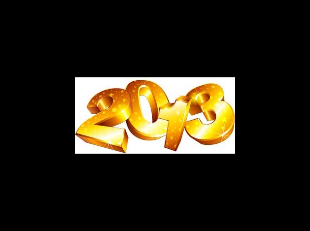 année 2013