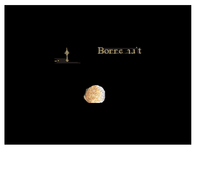 bonnenuit160308ra7.gif