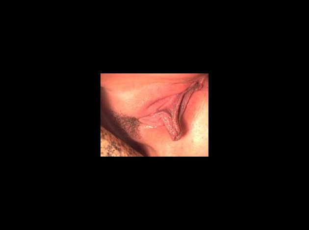49.jpg Les jolies chattes de femmes