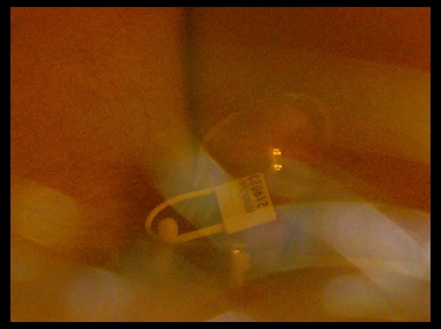 29052007006.jpg