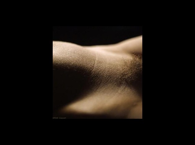 6972605-p.jpg