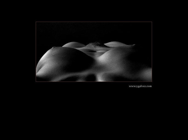 www.ygalvez.com03.jpg