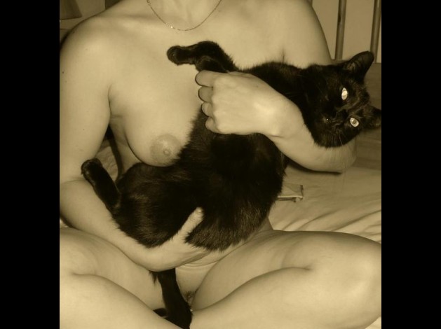 chatte-noir-et-blanc-d.jpg
